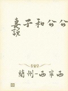 妻子和公公的小说