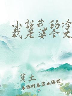 小说我的冷艳总裁老婆全文阅读