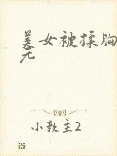 美女被揉胸二次元