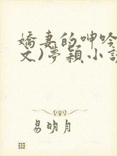 娇妻的呻吟(辣文)梦颖小说网