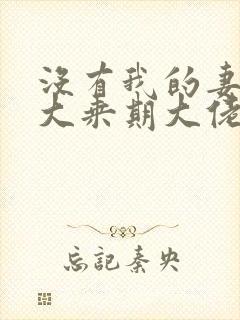 没有我的妻子是大乘期大佬小说