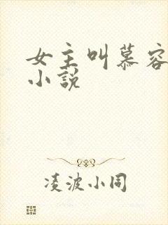 女主叫慕容雪的小说