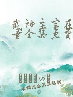 武神主宰在线观看全集免费播放高清