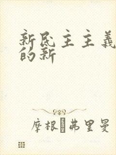 新民主主义革命的新