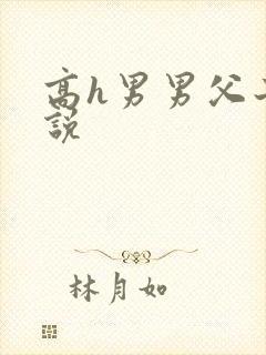 高h男男父子小说