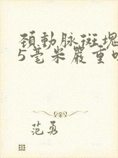 颈动脉斑块1.5毫米严重吗