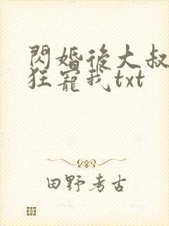 闪婚后大叔每天狂宠我txt