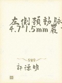 左侧颈动脉斑块4.7*1.5mm严重吗