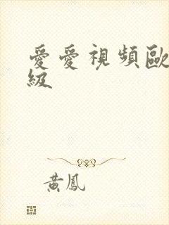 爱爱视频欧美一级