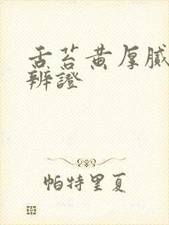 舌苔黄厚腻中医辨证