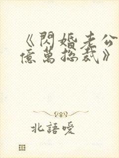 《闪婚老公竟是亿万总裁》小说