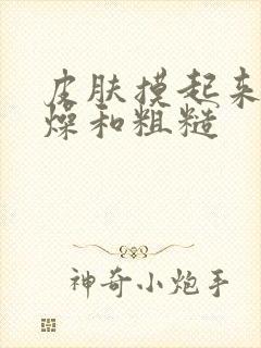 皮肤摸起来很干燥和粗糙