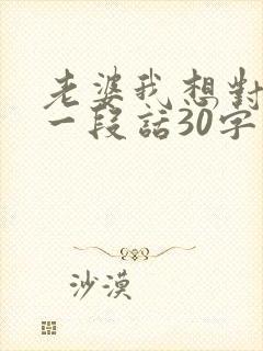 老婆我想对你说一段话30字