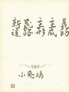 新民主主义革命道路形成的必然性和意义