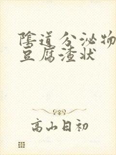 阴道分泌物粉色豆腐渣状