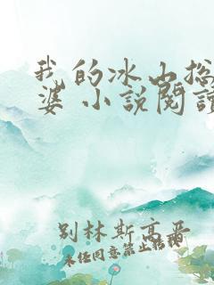 我的冰山总裁老婆 小说阅读