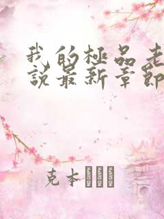 我的极品老婆小说最新章节