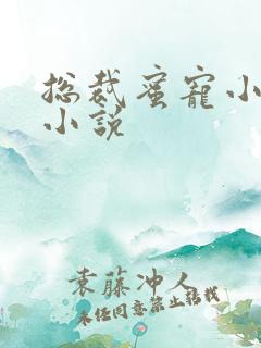 总裁蜜宠小娇妻小说