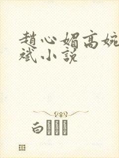 赵心媚高婉君陈斌小说