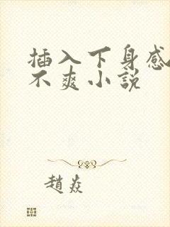 插入下身感觉爽不爽小说