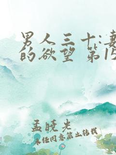 男人三十:妻子的欲望 第152章