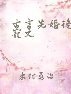 古言先婚后爱甜宠文