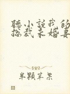 听小说我的绝色总裁未婚妻