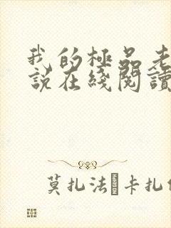 我的极品老婆小说在线阅读