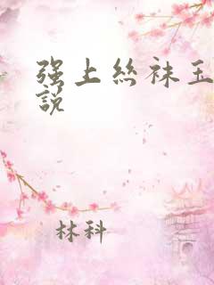 强上丝袜玉足小说