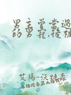 男主曾当过男人的男宠,后被女主救赎