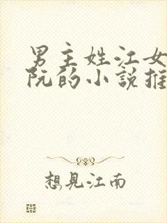 男主姓江女主姓阮的小说推荐
