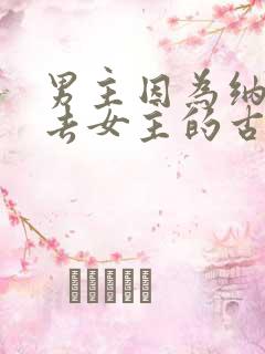 男主因为纳妾失去女主的古言