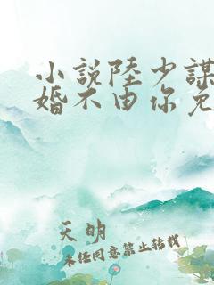 小说陆少谋妻之婚不由你免费阅读