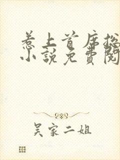 惹上首席总裁2小说免费阅读全文