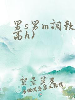 男s男m调教(高h)