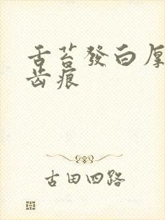 舌苔发白厚腻有齿痕