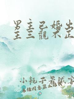 男主已婚出轨女主三观不正