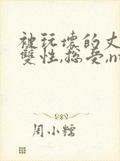 被玩坏的丈夫(双性,总受,ntr