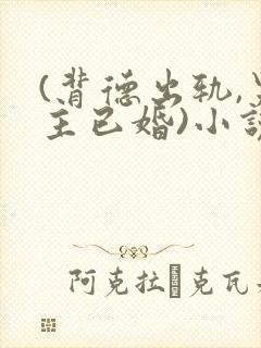 (背德出轨,男主已婚)小说