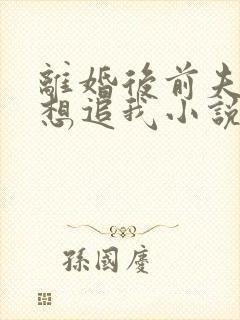 离婚后前夫总是想追我小说完整版