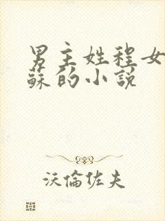男主姓程女主姓苏的小说