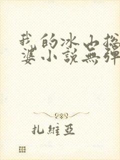我的冰山总裁老婆小说无弹窗