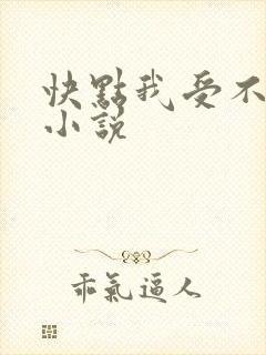 快点我受不了了小说