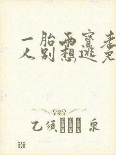 一胎两宝老婆大人别想逃免