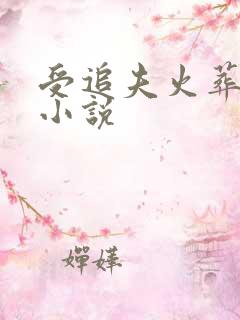 受追夫火葬场的小说