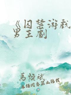 《囚禁游戏》双男主剧