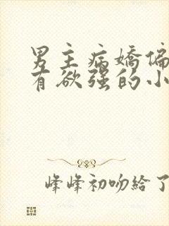 男主病娇偏执占有欲强的小说