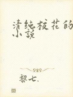 清纯校花的坠落小说