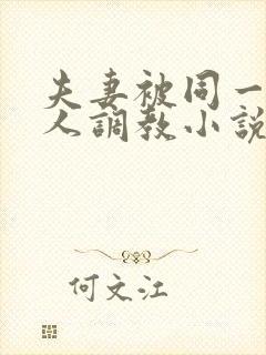 夫妻被同一个主人调教小说