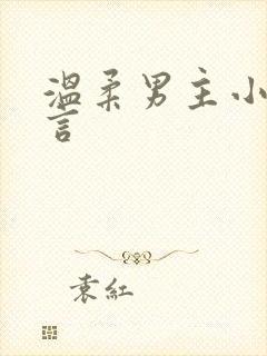 温柔男主小说古言